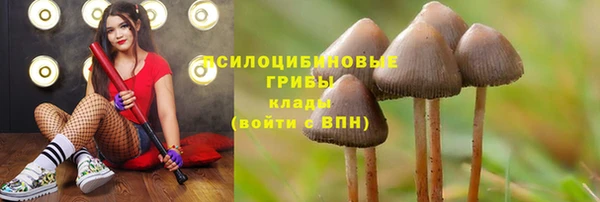 mix Абаза